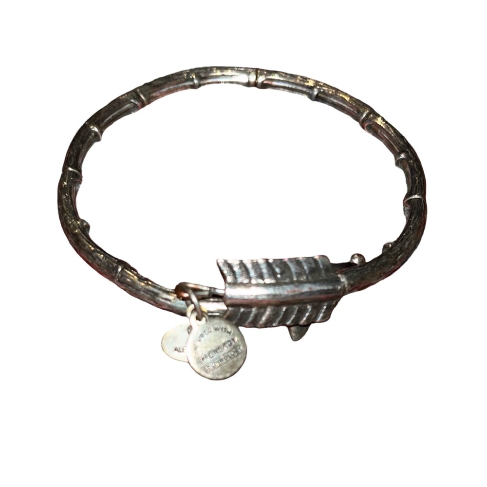 Alex and Ani Silver Arrow Bangle Bracelet with Charm